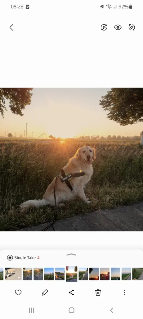 Andachtsbild von Larissa Döring