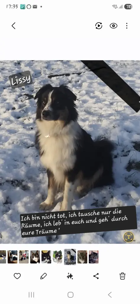 Andachtsbild von Melanie