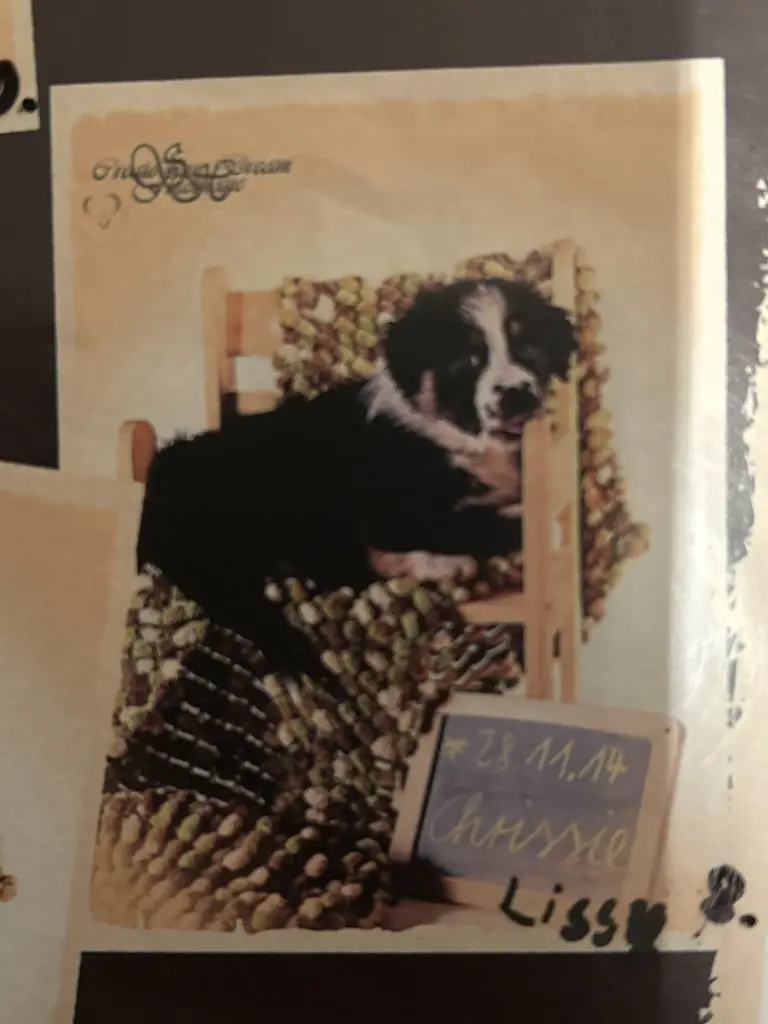 Andachtsbild von Ute Fischer