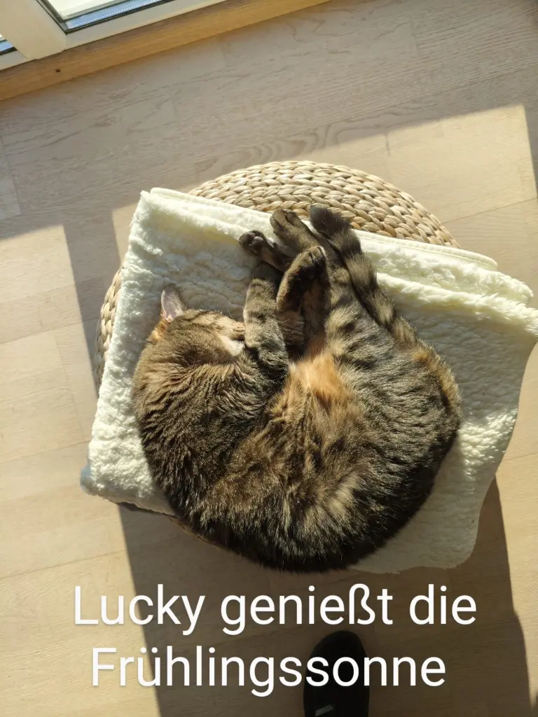 Condolence image of Katrin Wetzel