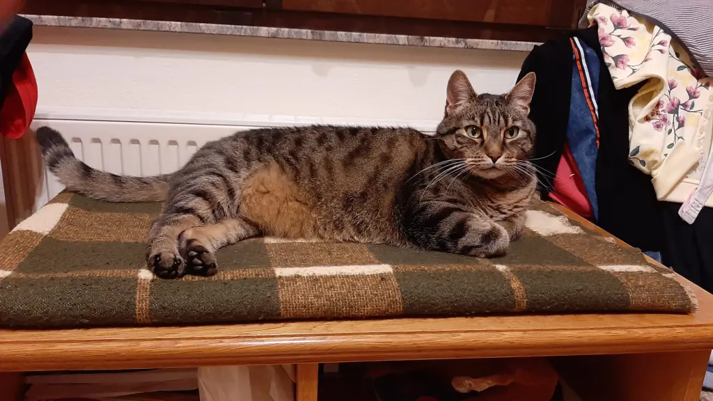 Er ist in Frankenberg