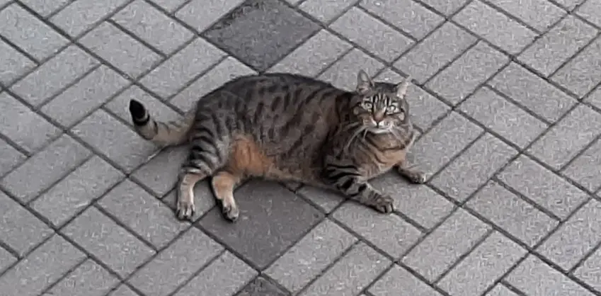 Er ist in Frankenberg