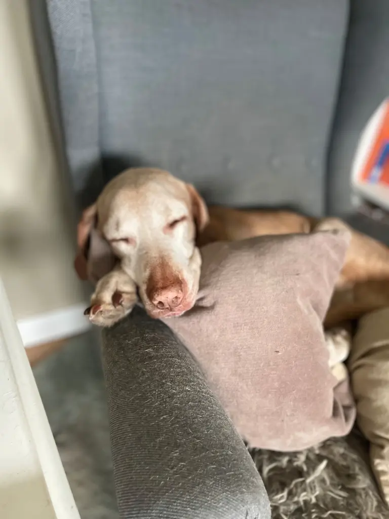 Condolence image of André