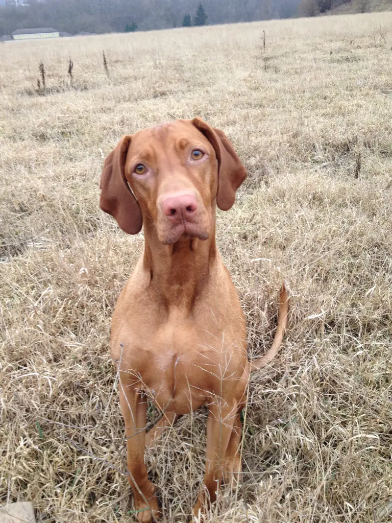 Maya mit zwei Jahren<3