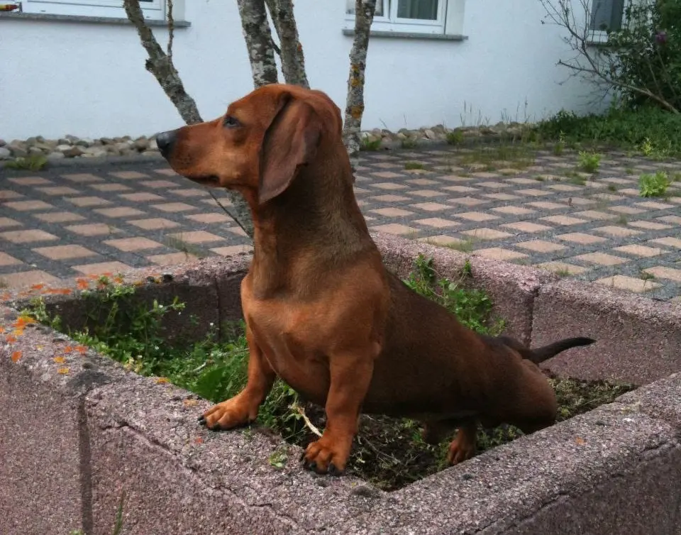 Andachtsbild von Bernd Ziemann