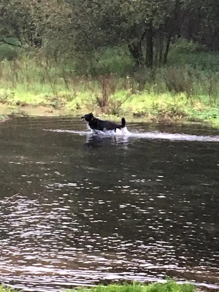 Andachtsbild von Christine Romeyke