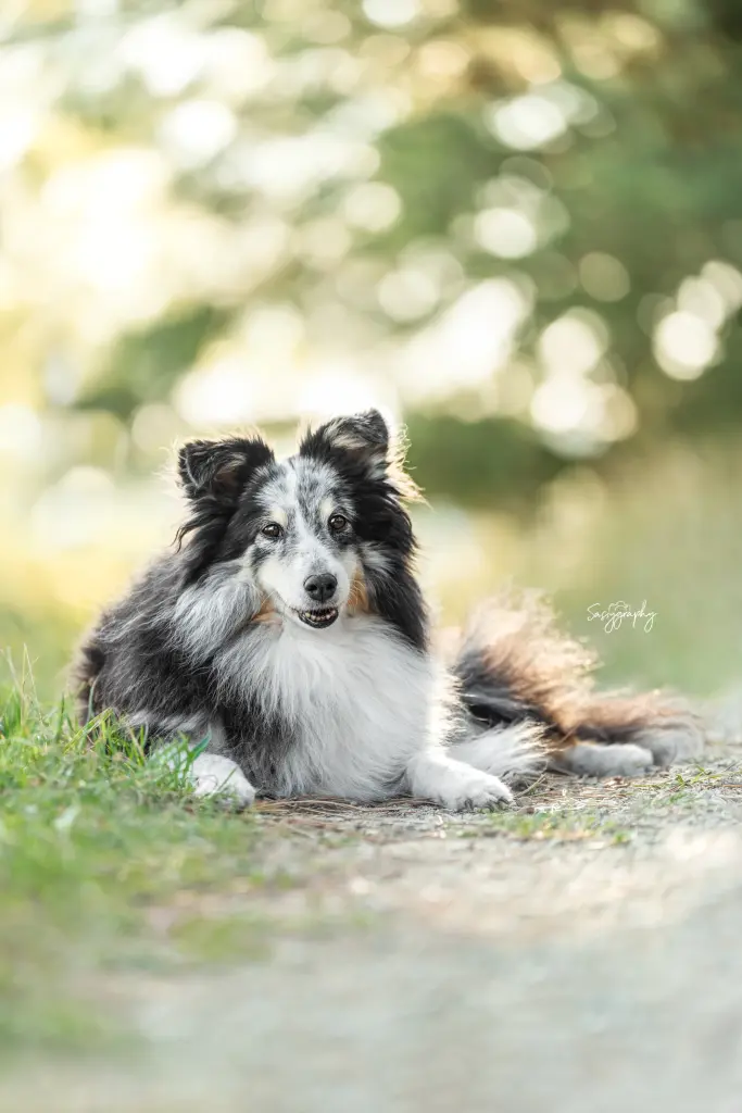 Andachtsbild von Michelle Huth