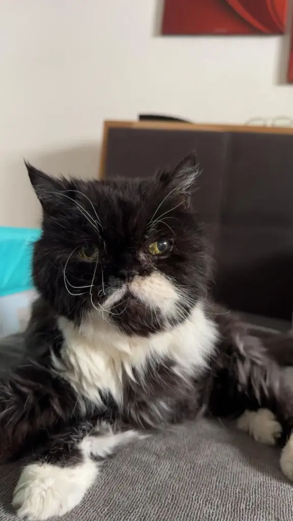 Andachtsbild von Katja Haucke