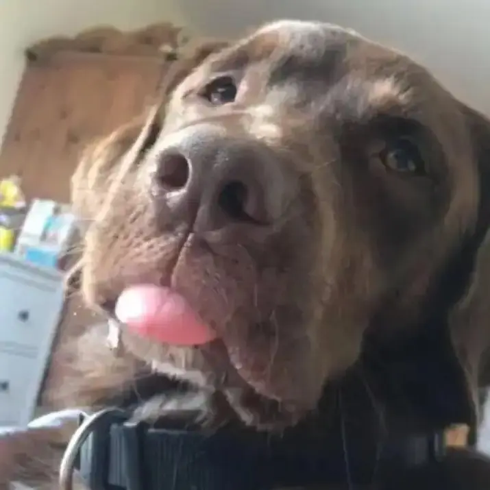 Andachtsbild von Gabriele Thomssen