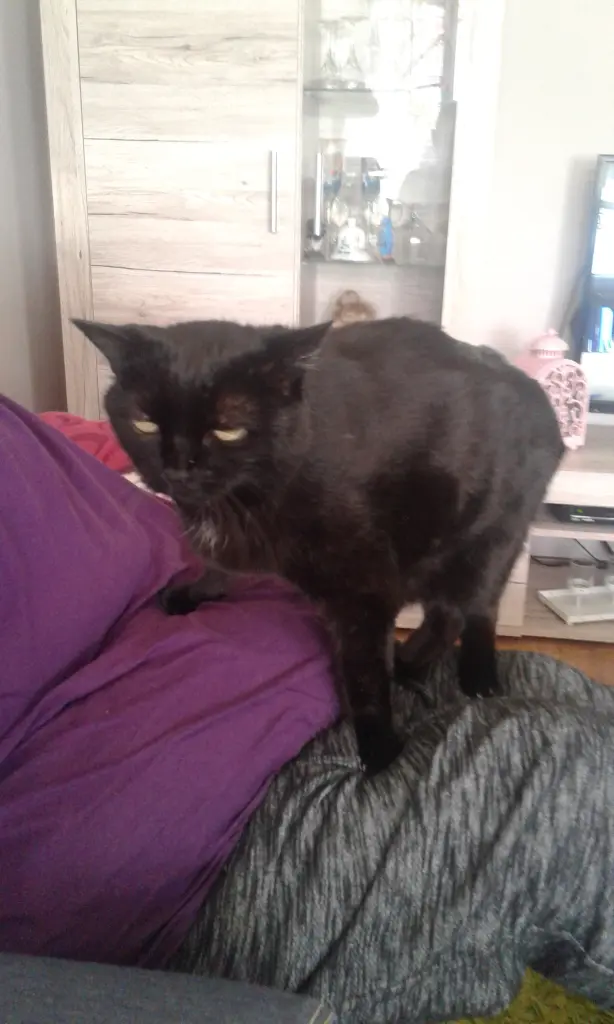 Condolence image of Johann und Anke Sündermann