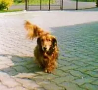 Condolence image of Claudia mit Axel im Herzen