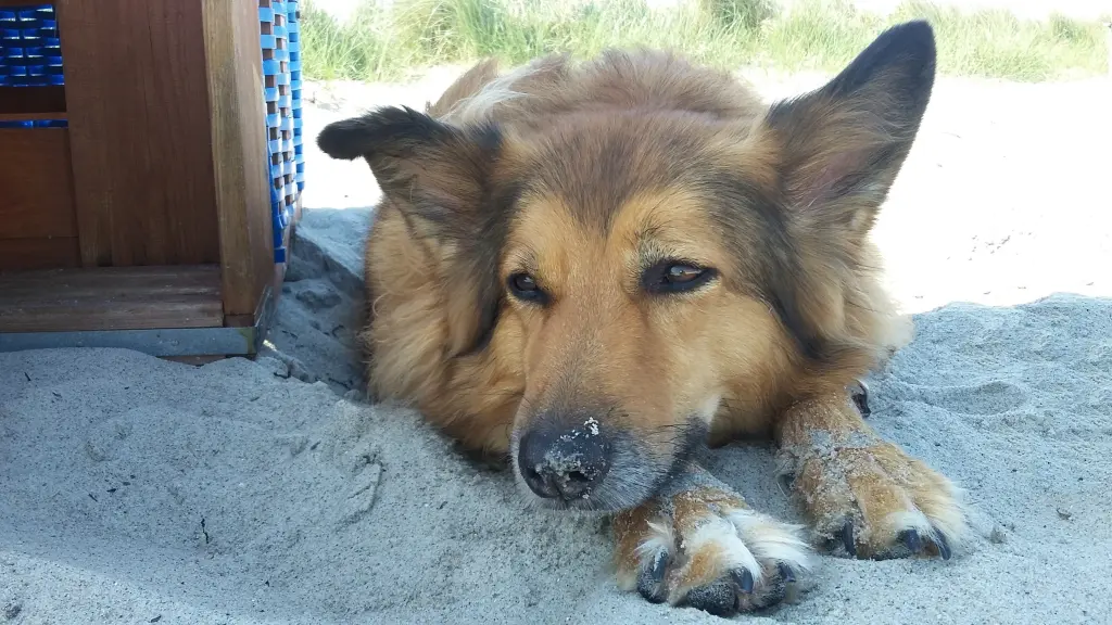 Condolence image of Annegret und Detlef