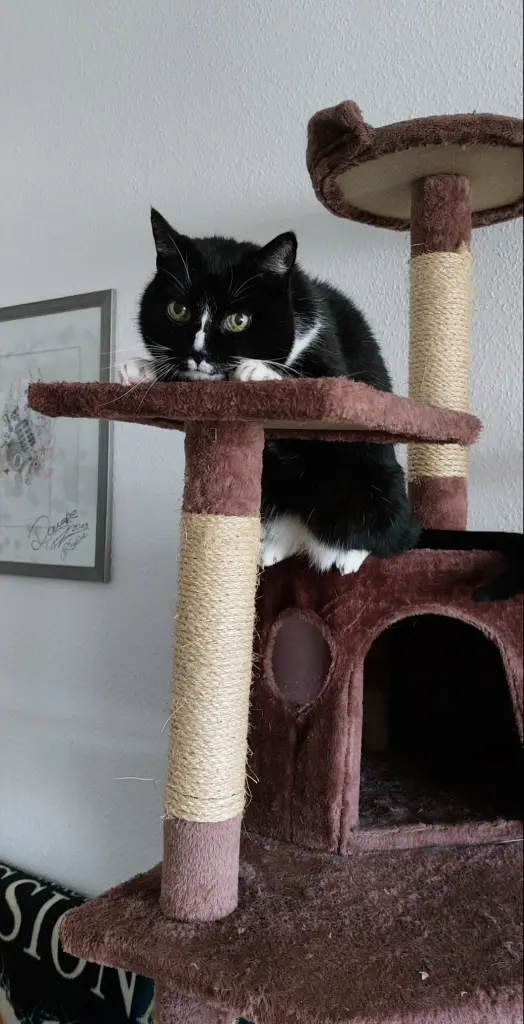 Einfach mal unendlich süß sein.