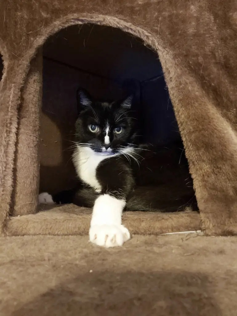 Entspannen in Ihrer kühlen Höhle.