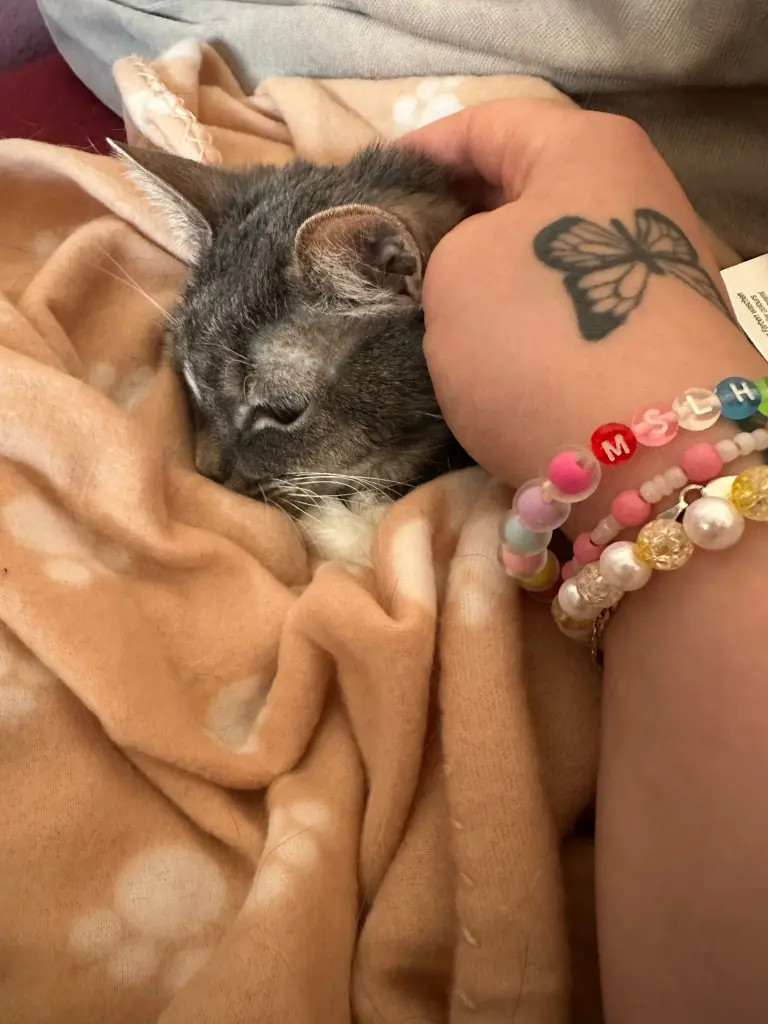 Unsere Kuschelmaus ❤️