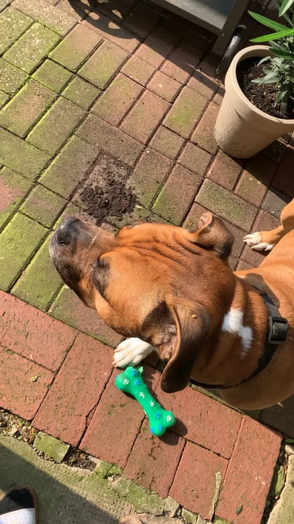 Andachtsbild von Celine Lodyga