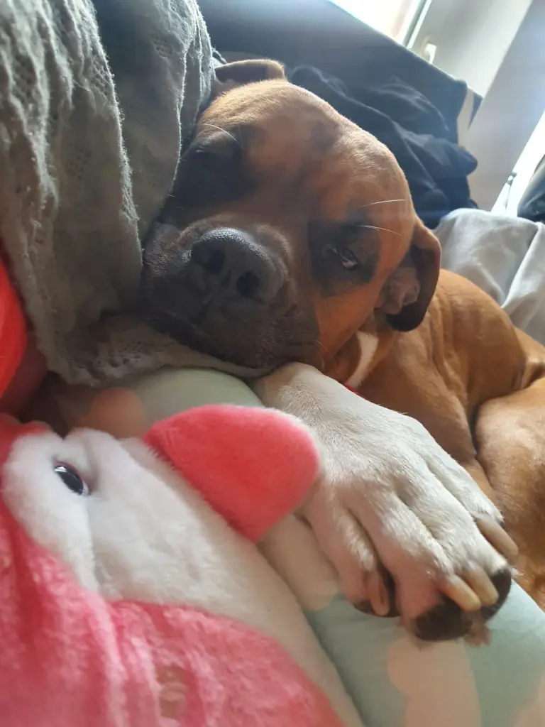 Andachtsbild von Melani Lodyga