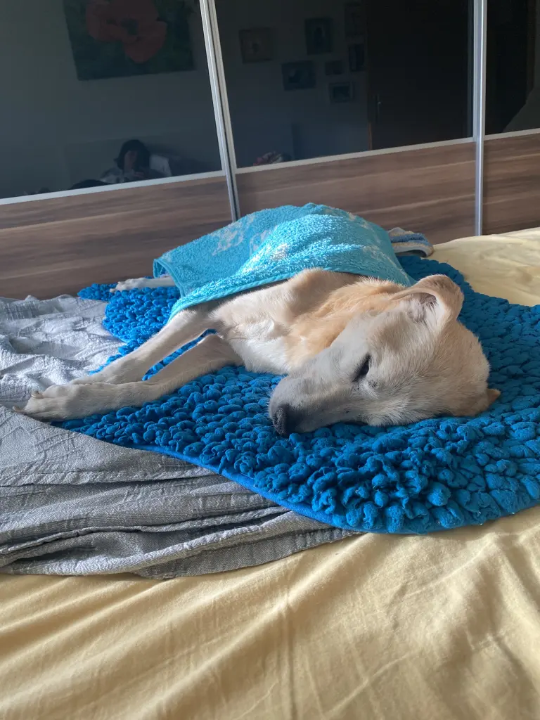 Ruhe in Frieden 🖤