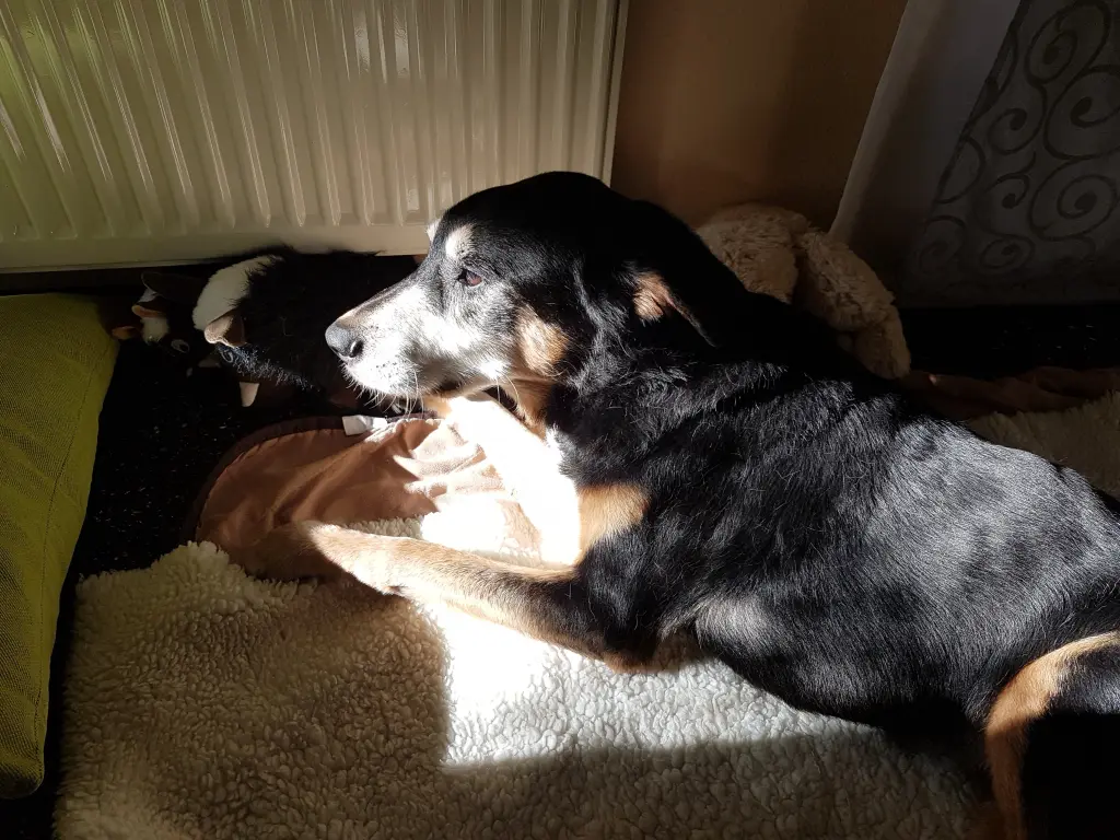 Condolence image of Unbekannt