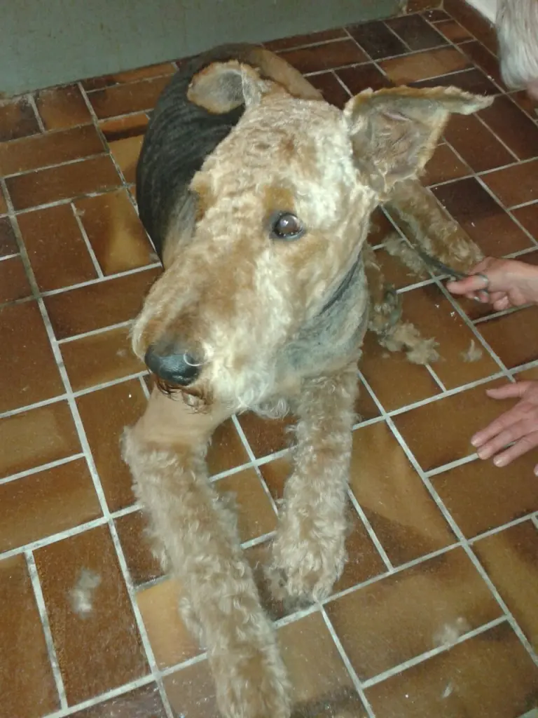 Condolence image of Gabi mit Max im Herzen