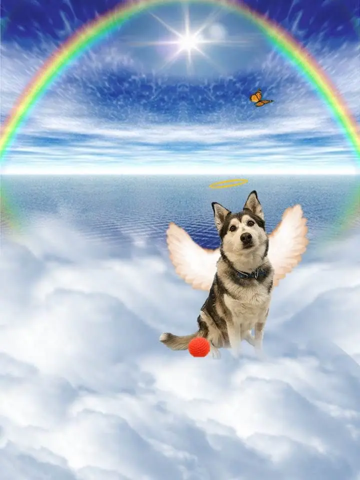 Condolence image of Gisela