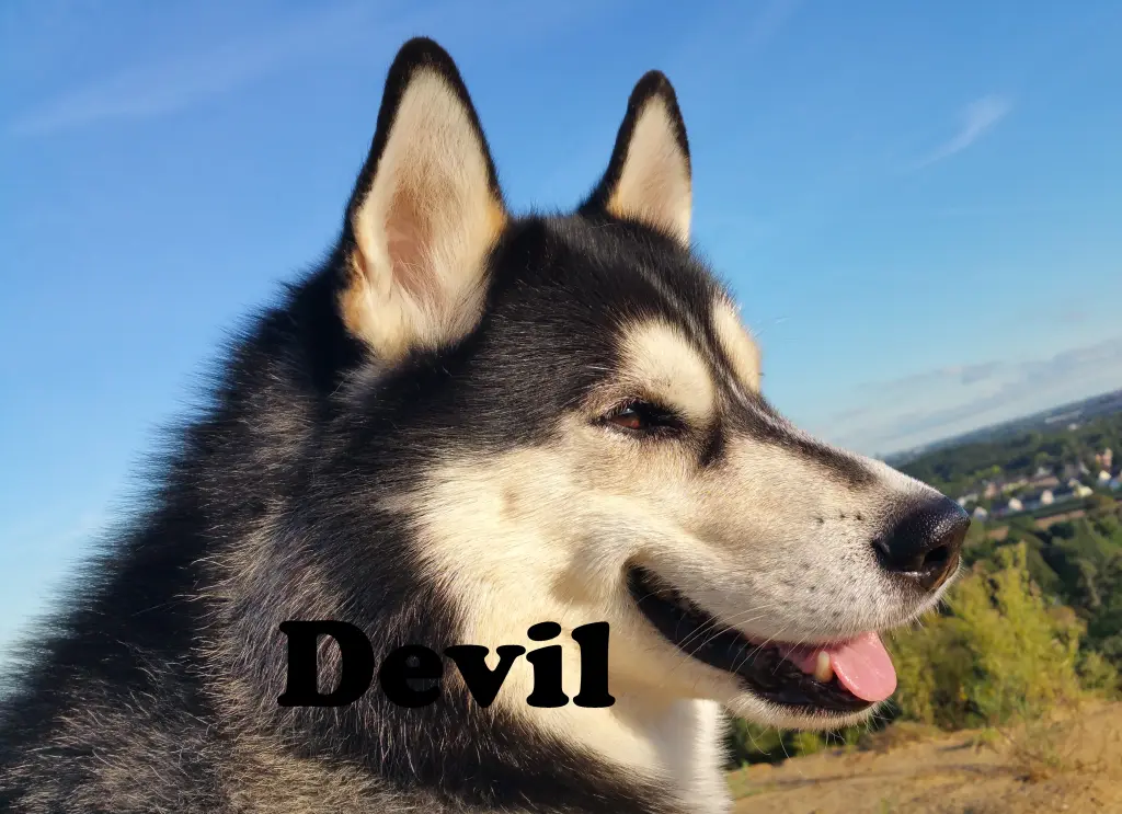 Image from Devil 