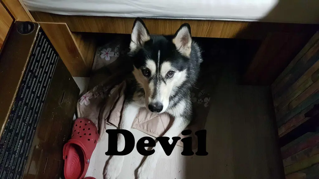Image from Devil 