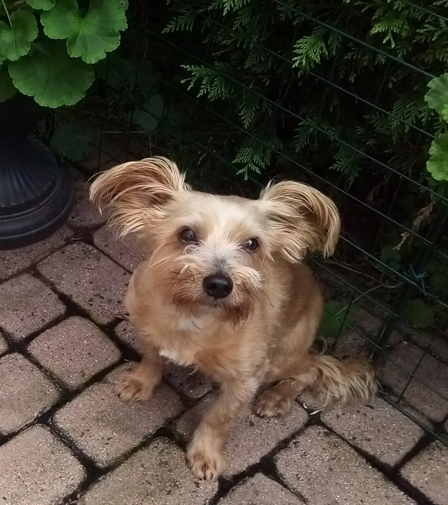 Mein Schatz, mein bester Freund