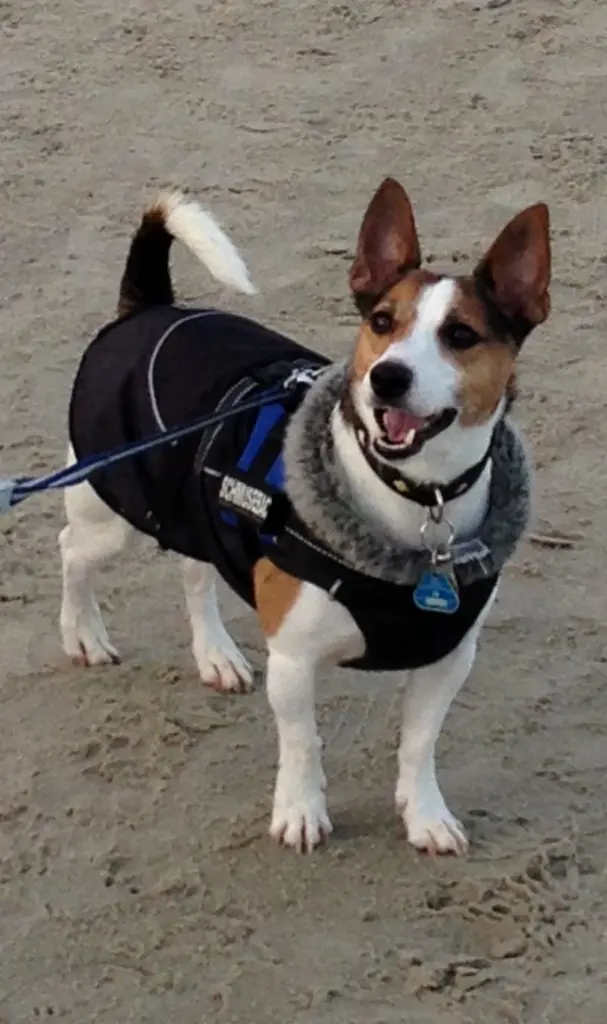 Am Strand spazieren gehen und spielen das was das schönste für dich.