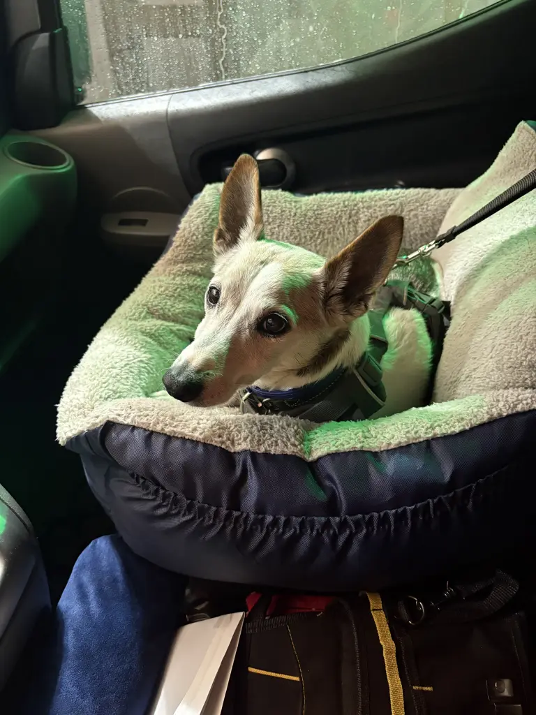 Du warst immer an unsere Seite