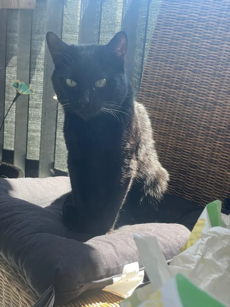 Andachtsbild von Angelika Eberhardt