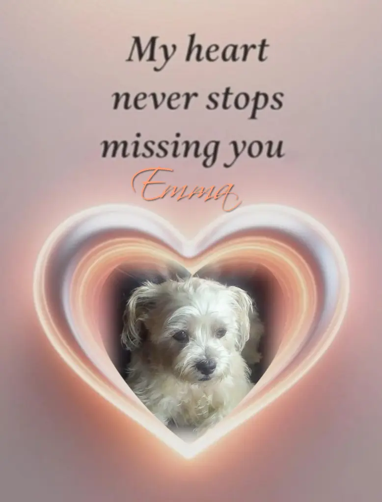 Andachtsbild von Ewa & Krzysztof mit Jacki♥️ tief im Herzen♥️