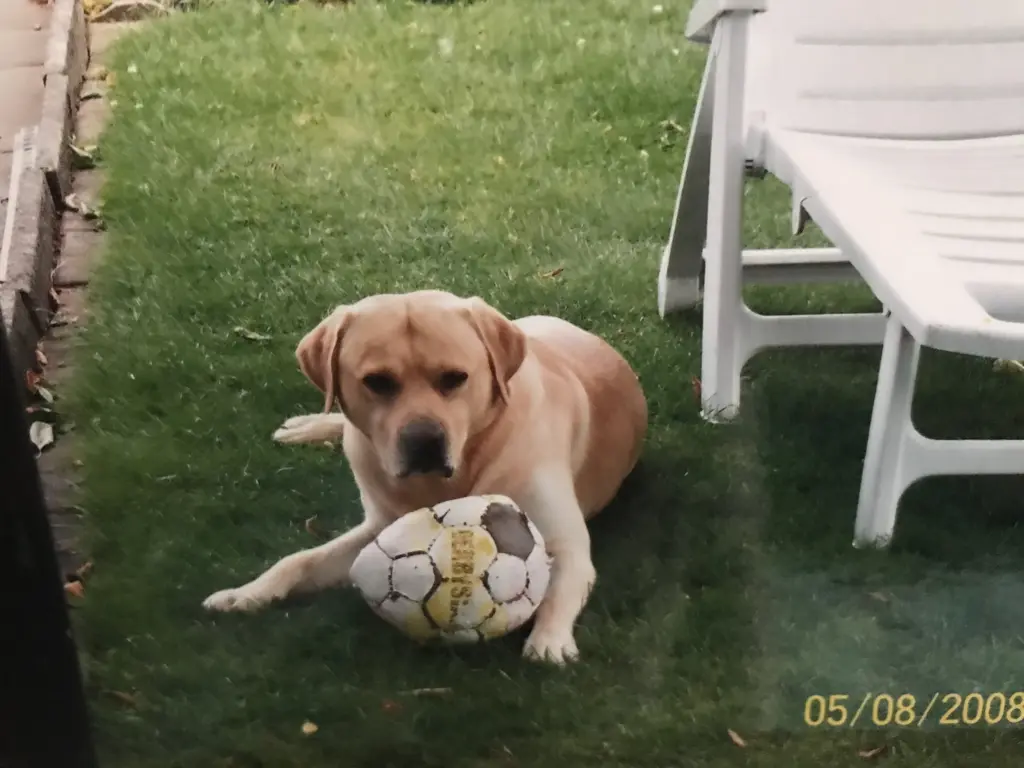 Condolence image of Elzbieta mit Max im Herzen 