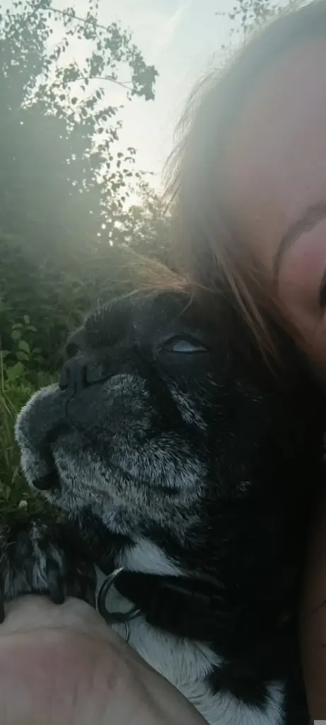 11 Jahre alt ❤️