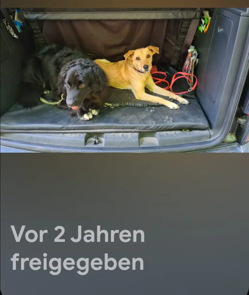 Condolence image of Sandra Krell