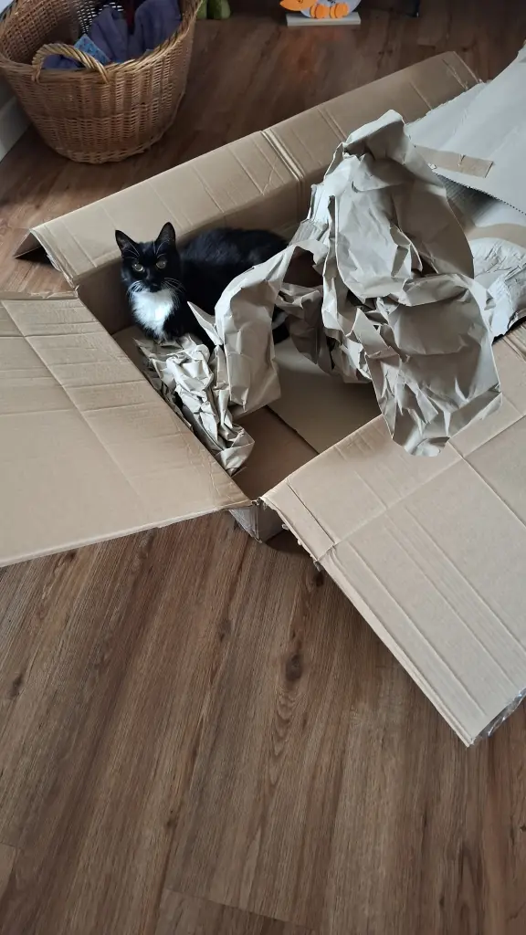 Kartons bleiben jetzt leer