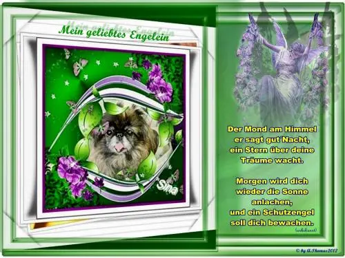 Image from meine geliebte Sina - mein Seelenhund
