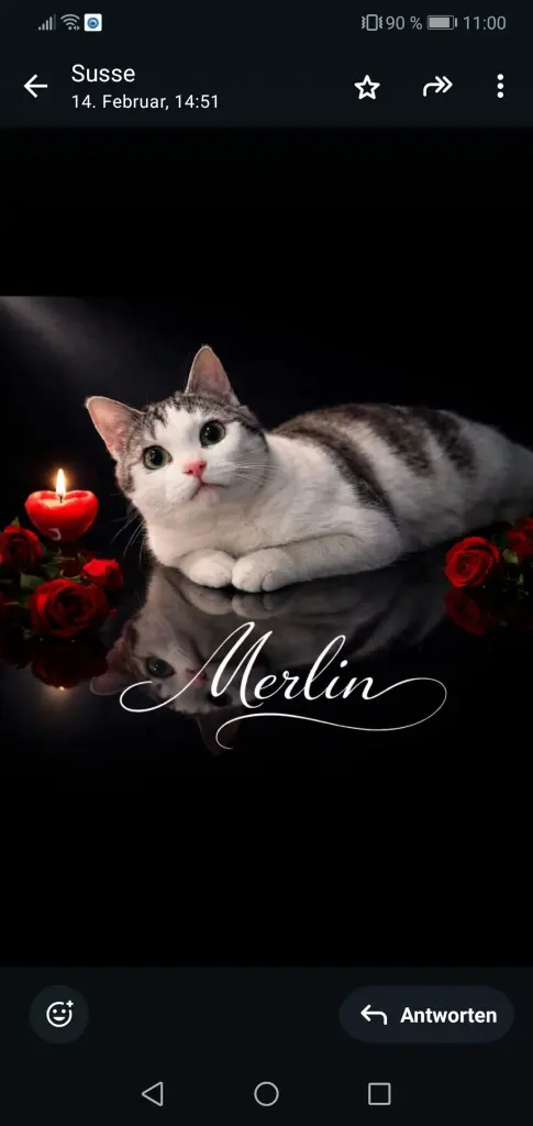 Bild von Merlin