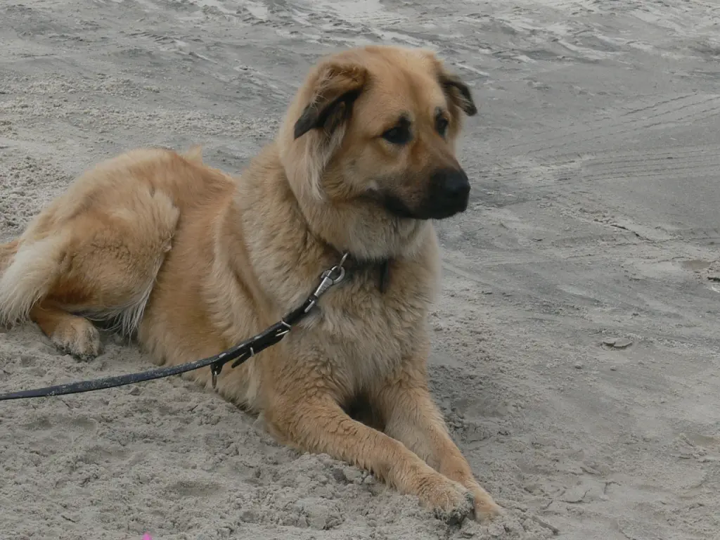 am Meer 2018