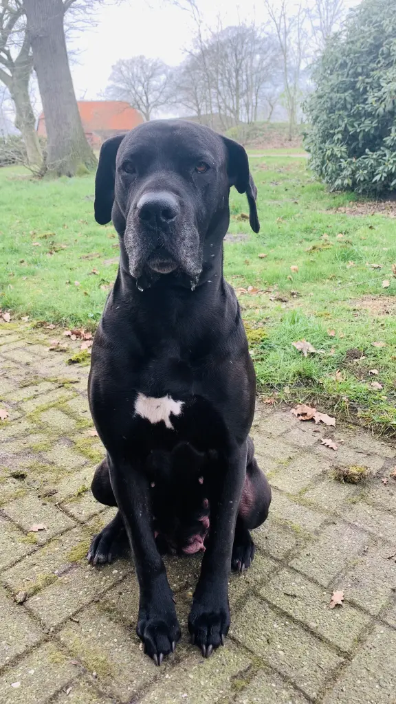 Andachtsbild von Nicole Schulz