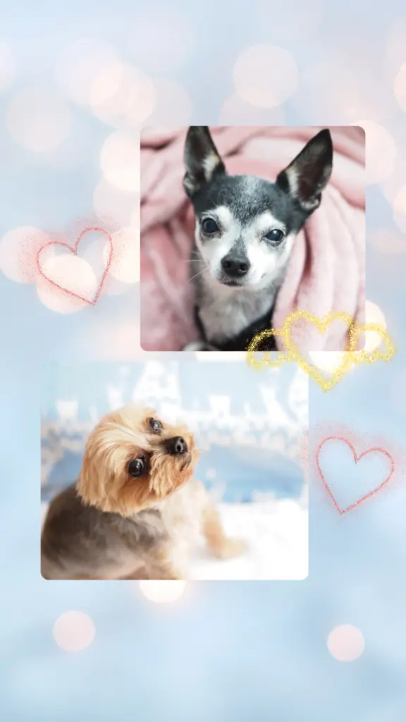 Andachtsbild von Astrid