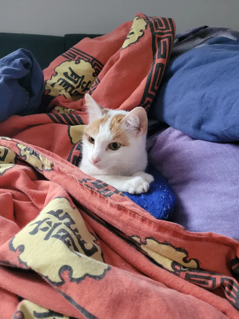 Hauptsache die Wärmflasche ist mit dabei