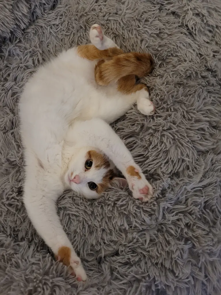 Du drehst die Welt wie sie Dir gefällt