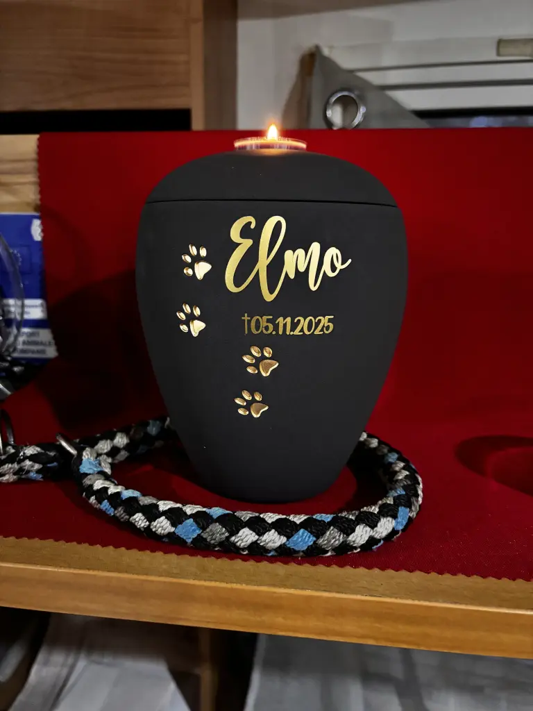 Image from Elmo