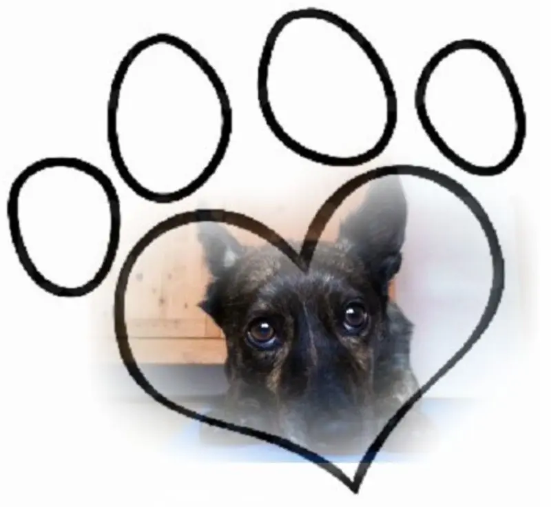 Condolence image of Melanie