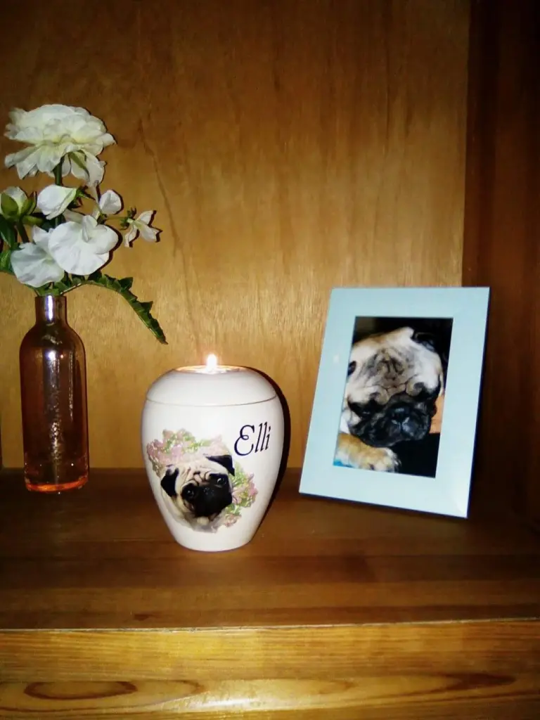 Condolence image of Gabriele