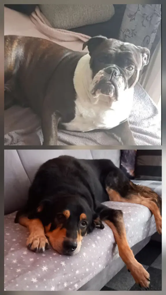 Andachtsbild von Petra Lowatz