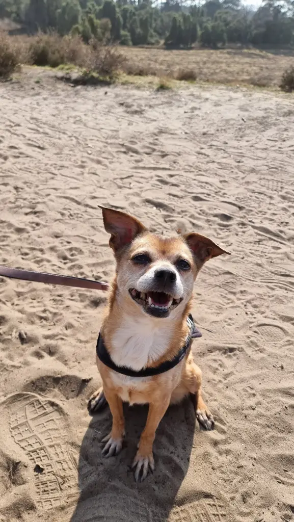 Immer fröhlich und gut gelaunt.