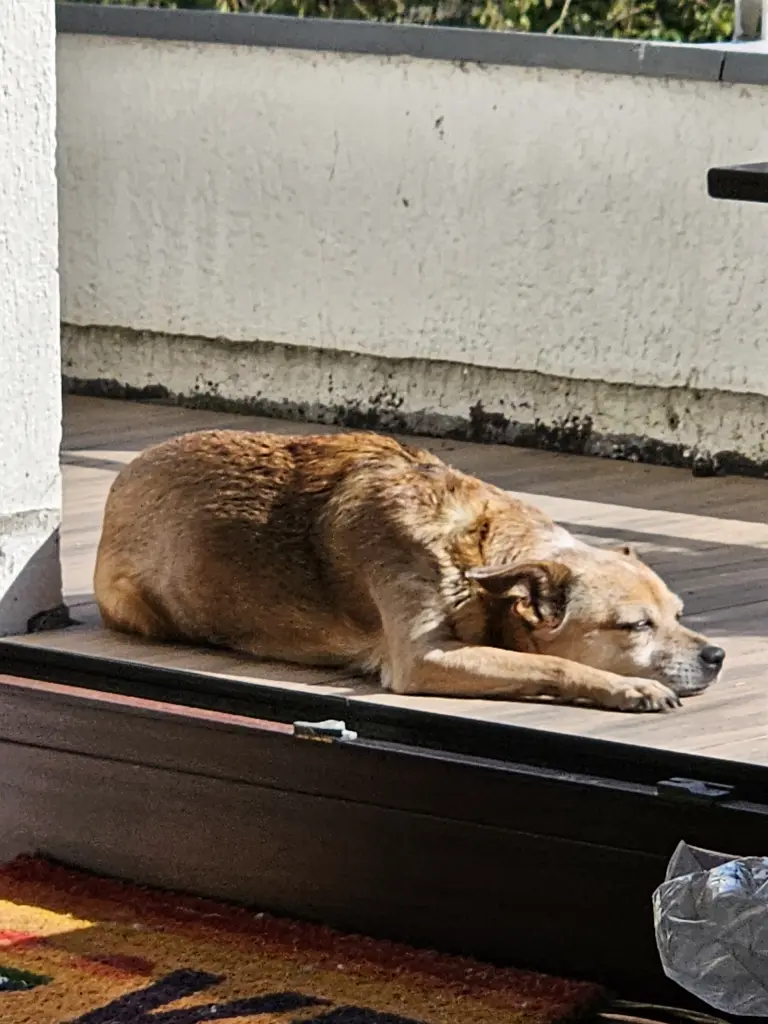 Immer in der Sonne...