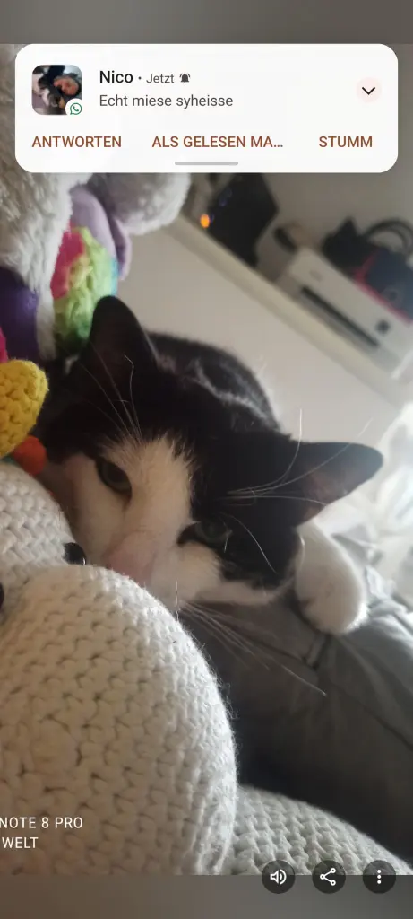 Bild von Ragnar Ragnarök